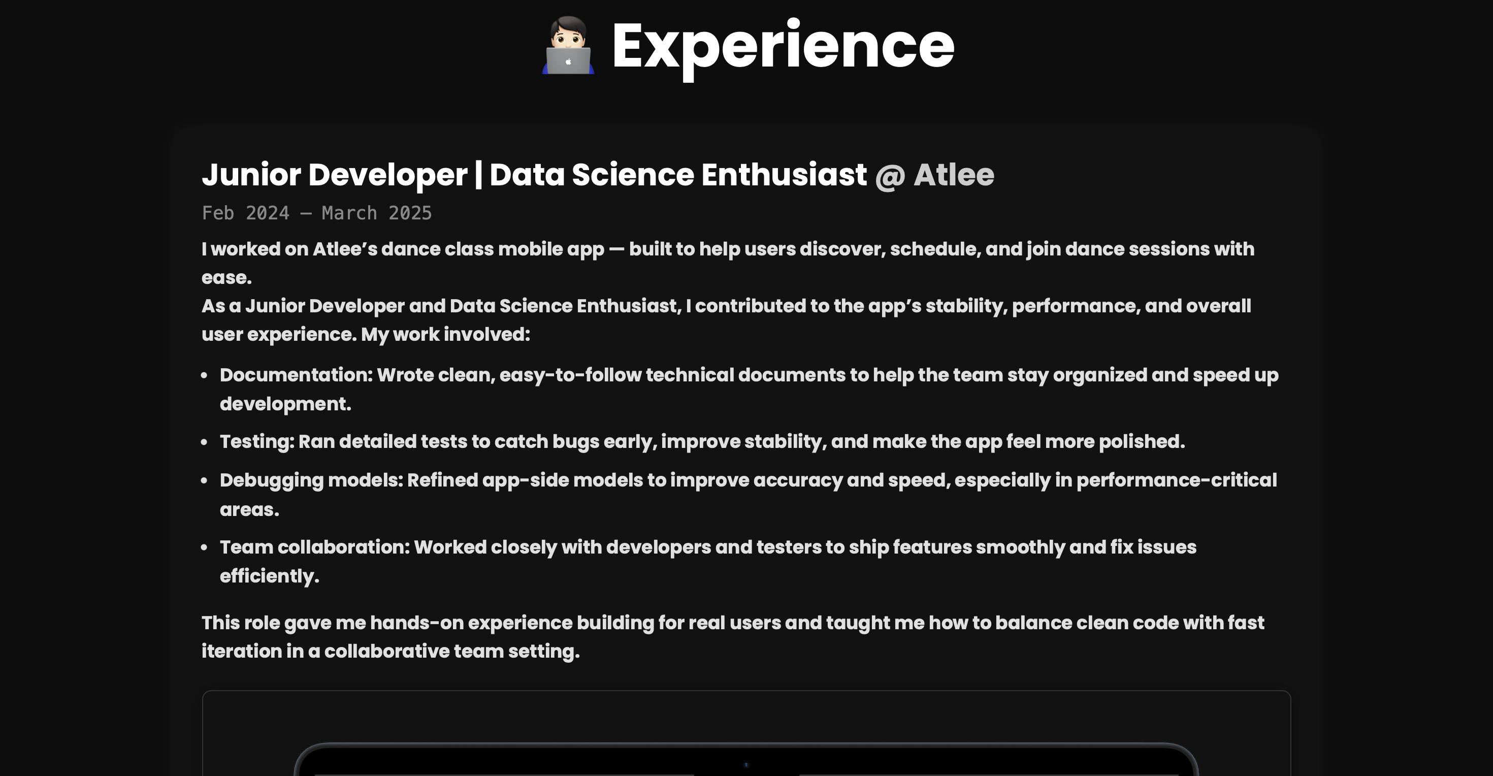 Experience section preview